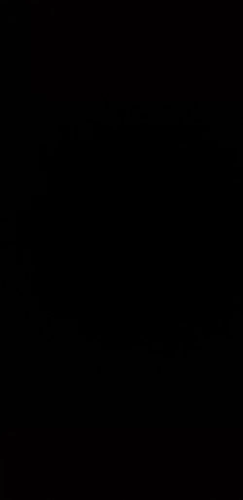 Black.webp