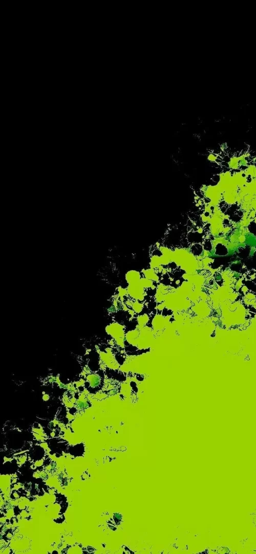 999c66cda9a78f65538815d50a6c725f.webp