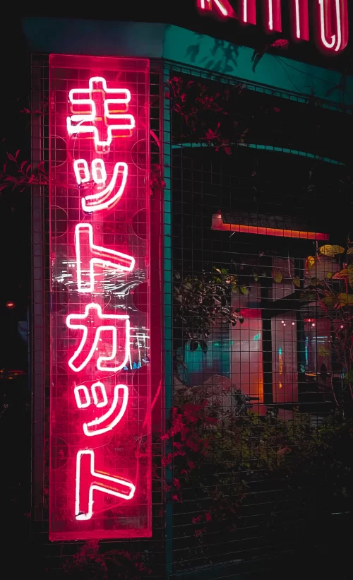 2_5215320324437969978.webp