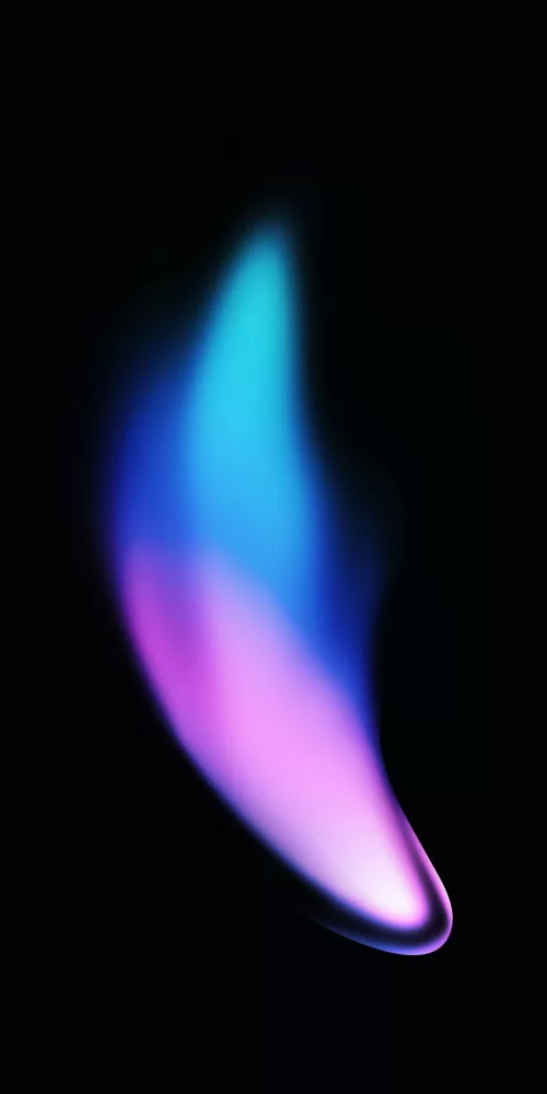2_5420278079358503010.webp