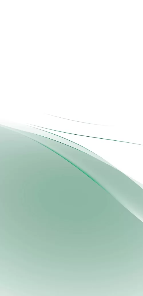 Whitecolor1-80643503-88ad-44b9-a3e6-574a2a6092ff.webp