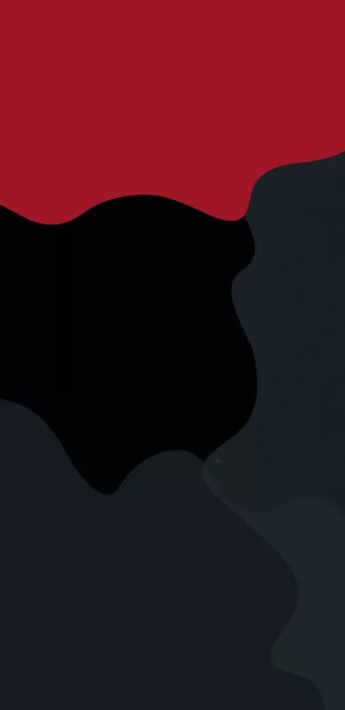 306245_adapted_1440x2960.jpg