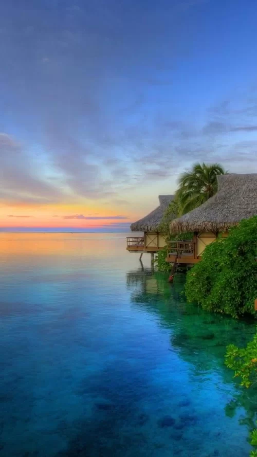 720x1280-Wallpaper_AppsApk.com_-478.webp