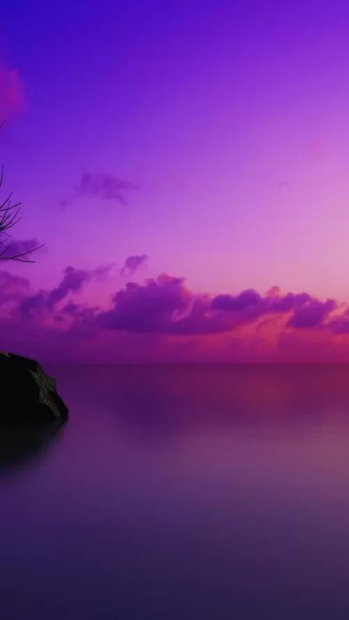 720x1280-Wallpaper_AppsApk.com_-479.webp