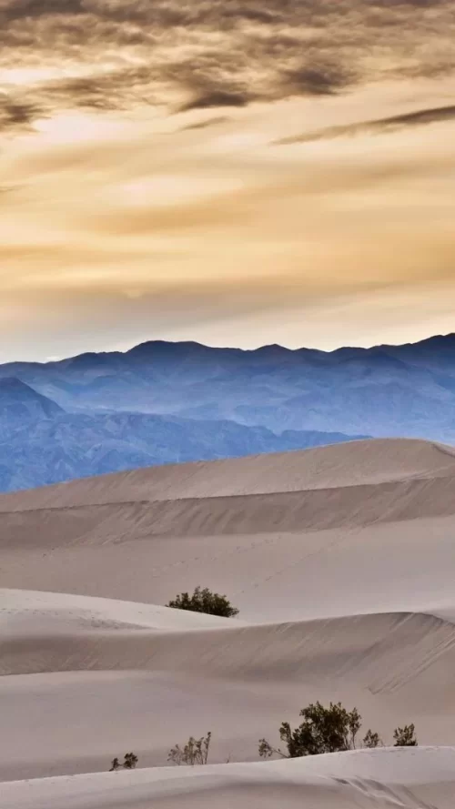 720x1280-Wallpaper_AppsApk.com_-485.webp