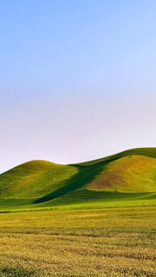 720x1280-Wallpaper_AppsApk.com_-495.webp