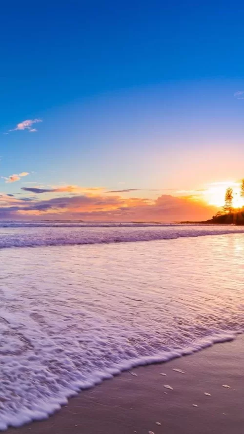 720x1280-Wallpaper_AppsApk.com_-503.webp