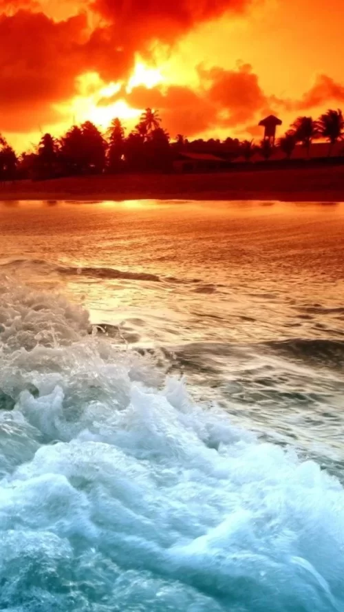720x1280-Wallpaper_AppsApk.com_-531.webp