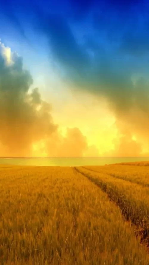 720x1280-Wallpaper_AppsApk.com_-539.webp