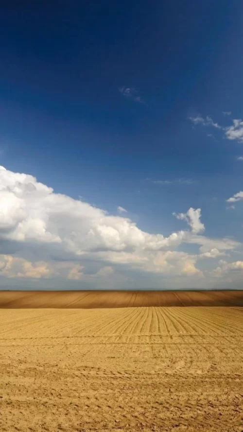 720x1280-Wallpaper_AppsApk.com_-582.webp