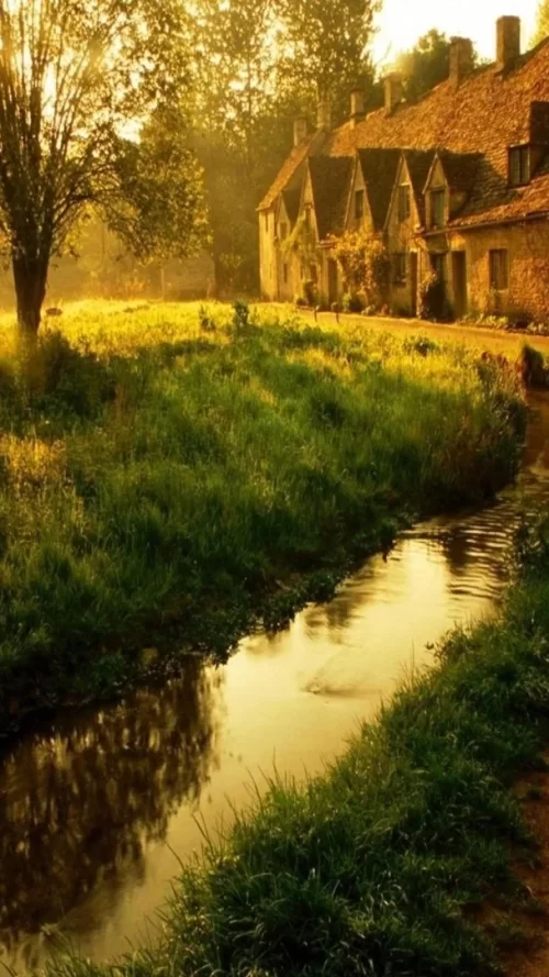 720x1280-Wallpaper_AppsApk.com_-599.webp