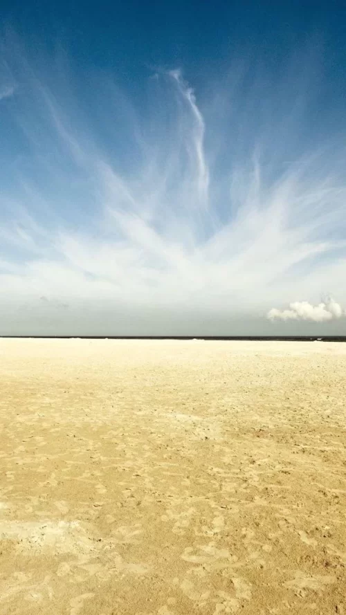 720x1280-Wallpaper_AppsApk.com_-588.webp