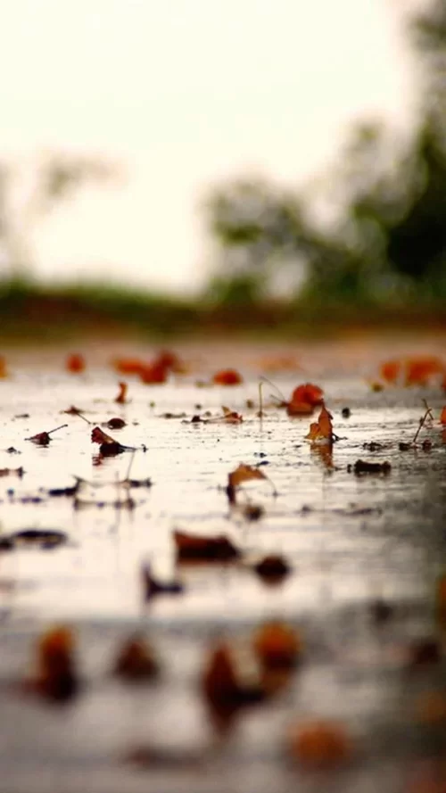 720x1280-Wallpaper_AppsApk.com_-617.webp