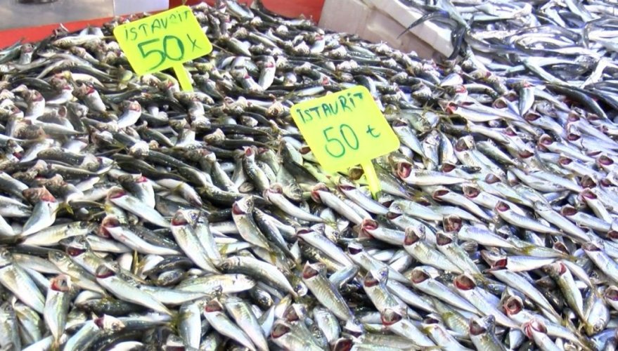 4vYkuSOy50qU1eU0ivegTA.jpg 4vYkuSOy50qU1eU0ivegTA.jpg