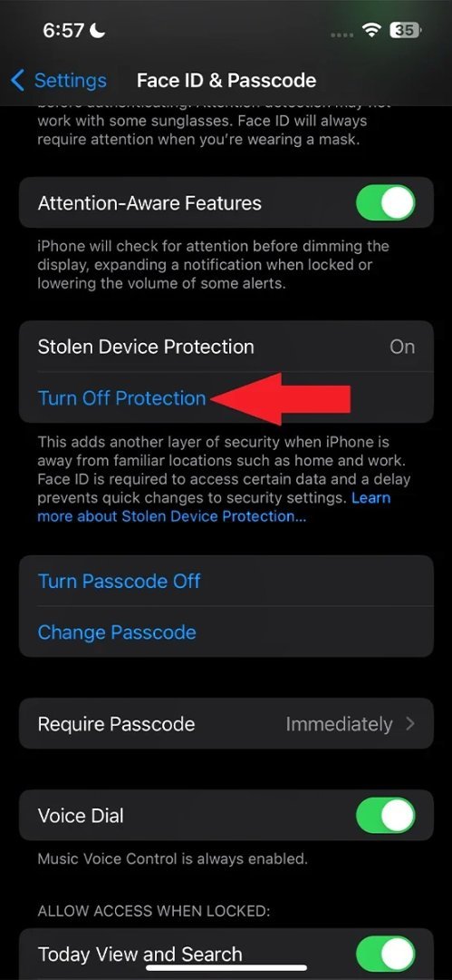 Enable-Stolen-Device-Protection-iPhone-2.jpg