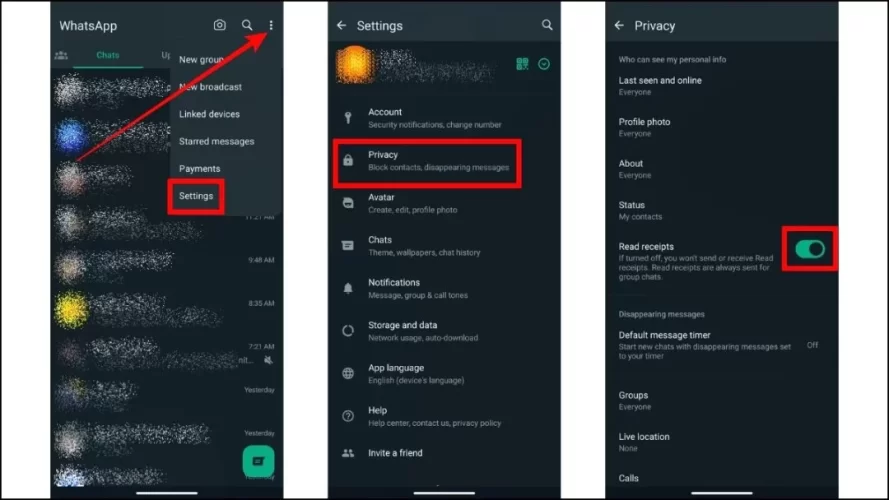 Read-Receipts-Not-Working-on-WhatsApp-1.webp