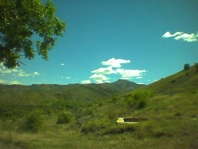Image(03).jpg Image(03).jpg