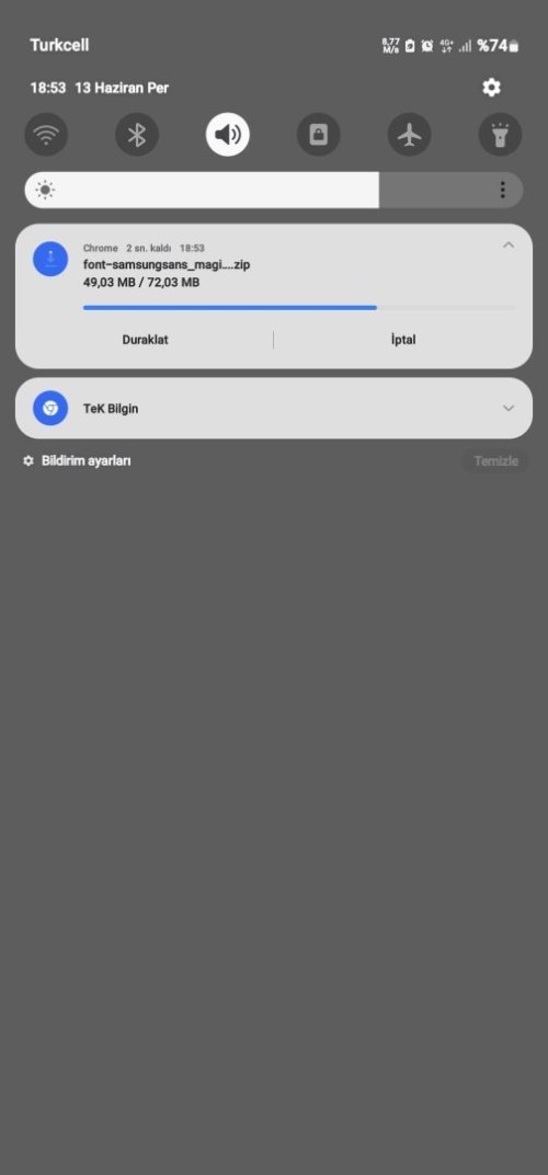 Screenshot_20240613_185347_Chrome.jpg