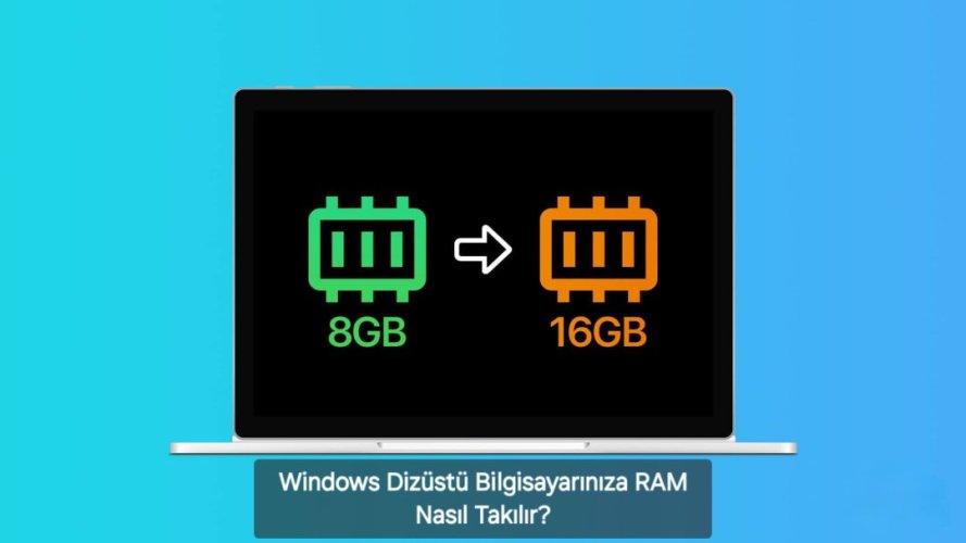 1000131446.jpg