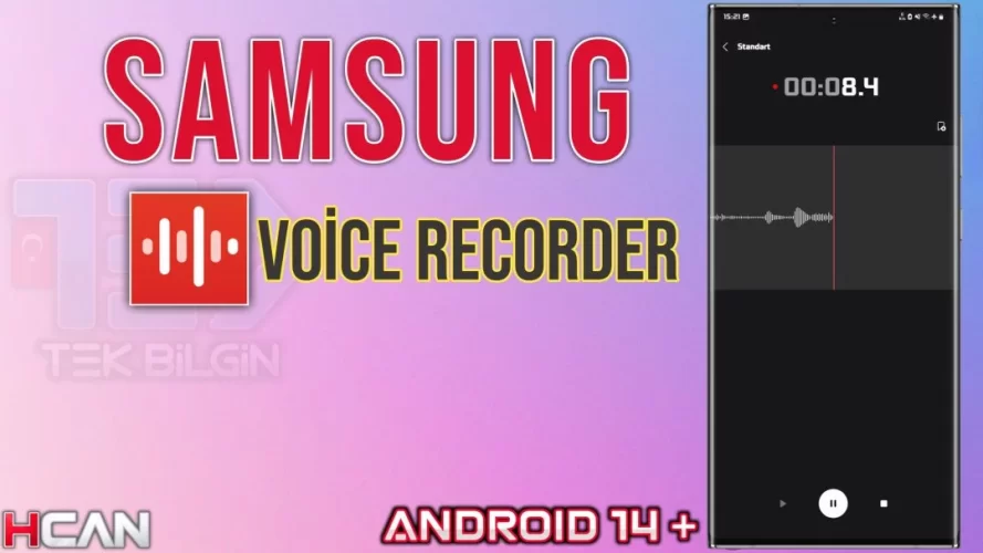 1000175504.jpg 1000175504.jpg