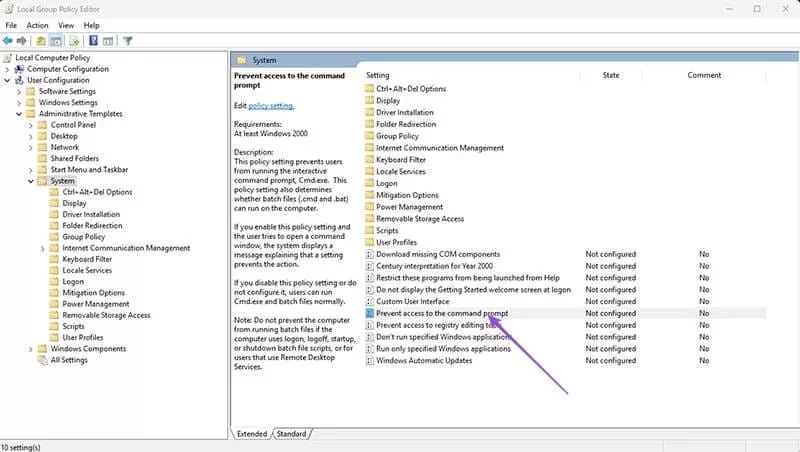 1000179921.webp 1000179921.webp