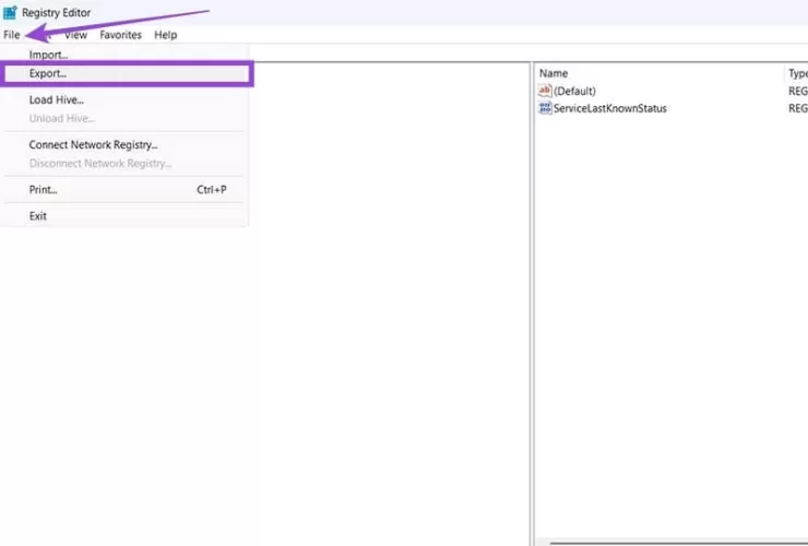 1000046986.webp 1000046986.webp