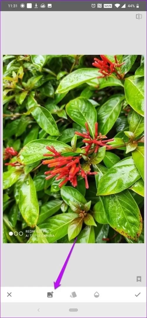 1740946363983.webp 1740946363983.webp