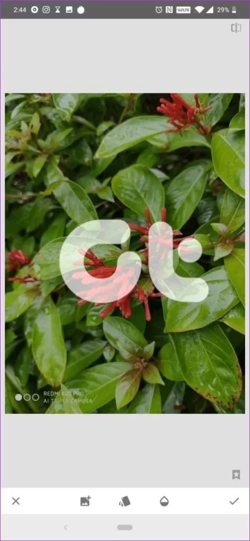 1740946430702.webp 1740946430702.webp