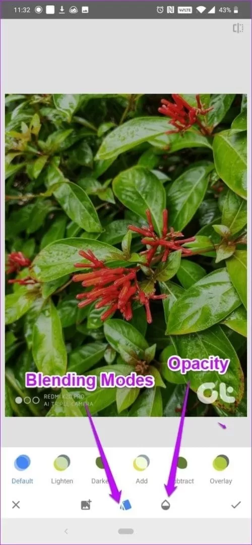 1740946443272.webp 1740946443272.webp