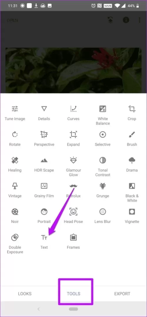 1740946542965.webp 1740946542965.webp