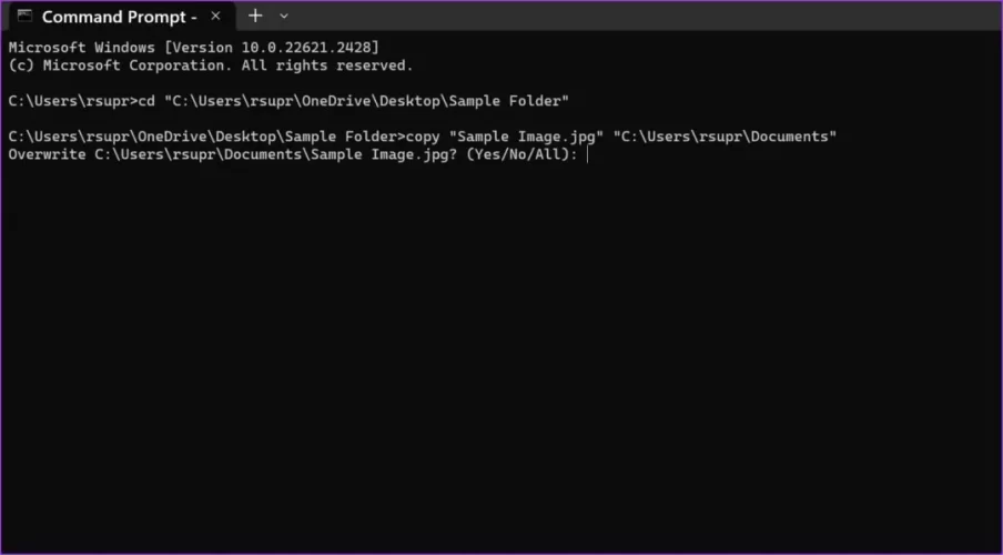 1741455868134.jpeg 1741455868134.jpeg