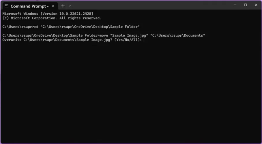 1741455965952.jpeg 1741455965952.jpeg