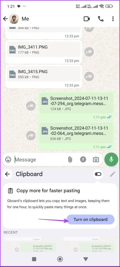 1743770386535.jpeg