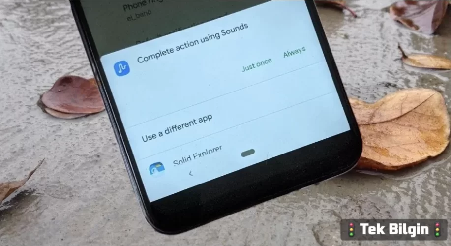 1000081677.jpg 1000081677.jpg