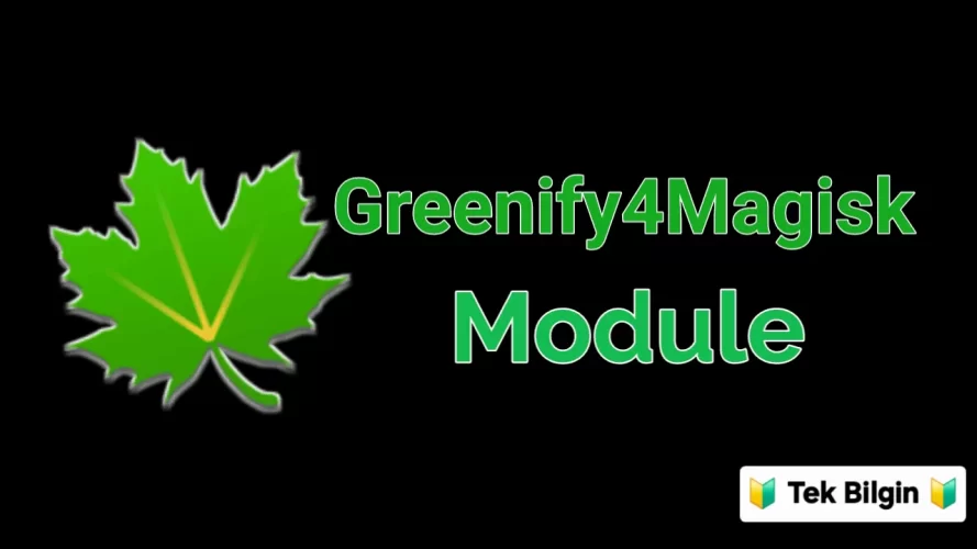 1000102608.webp 1000102608.webp