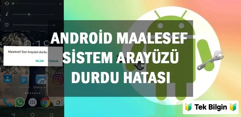 1000122676.webp 1000122676.webp