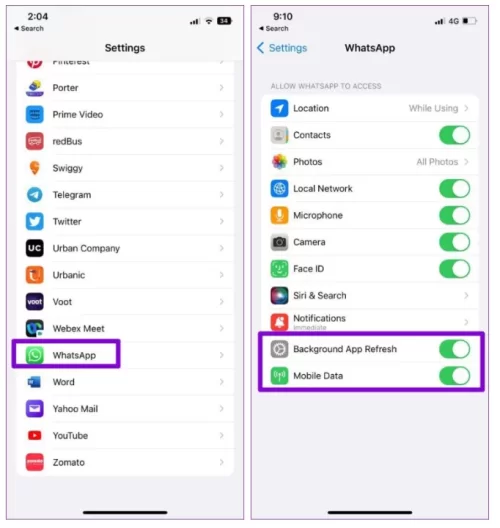 1762366951677.webp 1762366951677.webp
