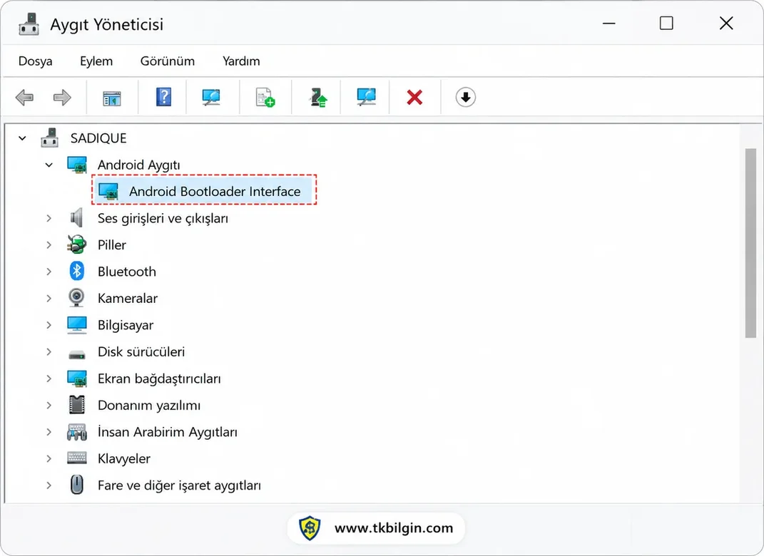 1000116132.webp