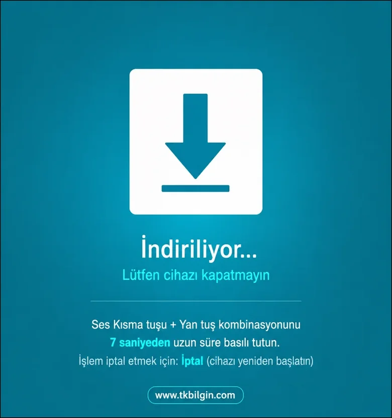 1000117603.webp