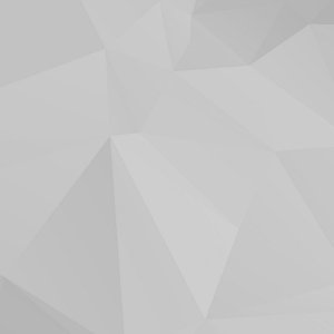 192972_adapted_1080x2316.jpg