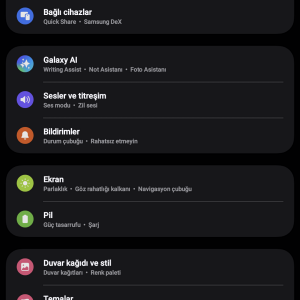 Screenshot_20250427_145335_Settings.png