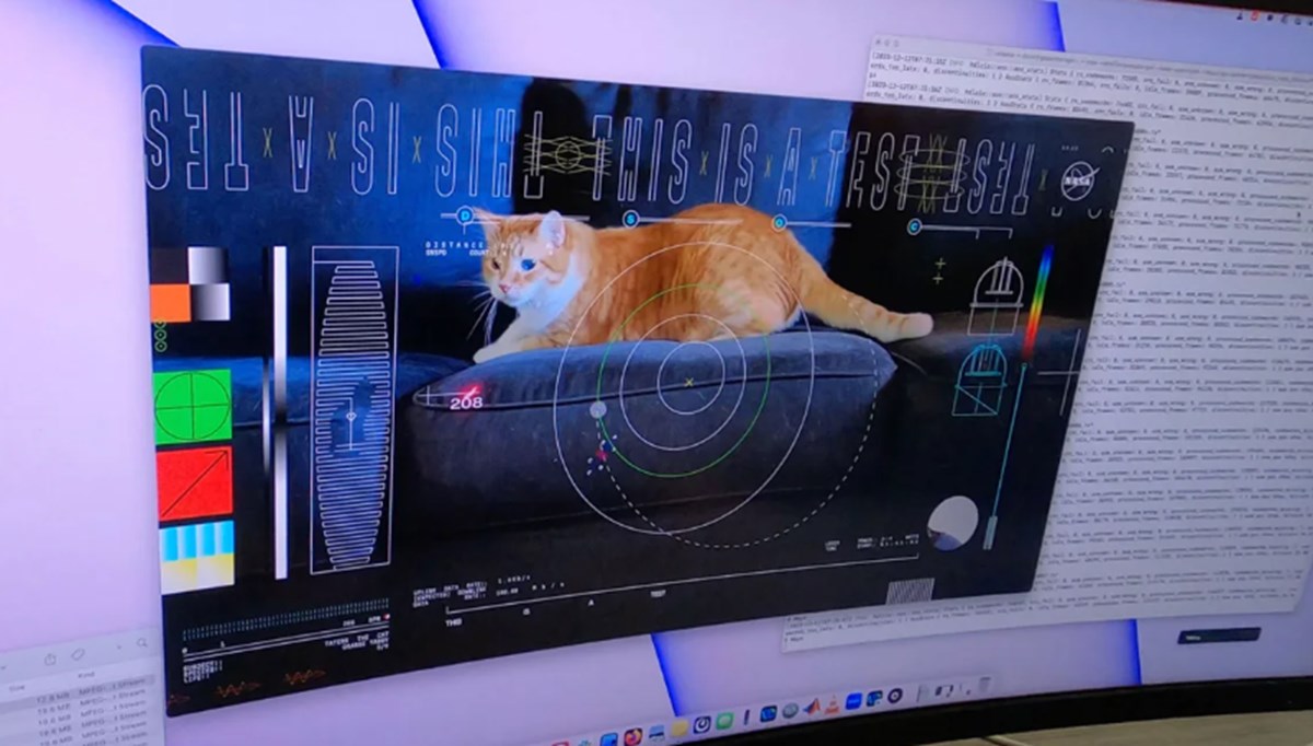 NASA'dan mesaj: Dünya'ya 31 milyon kilometre mesafeden kedi videosu gönderildi
