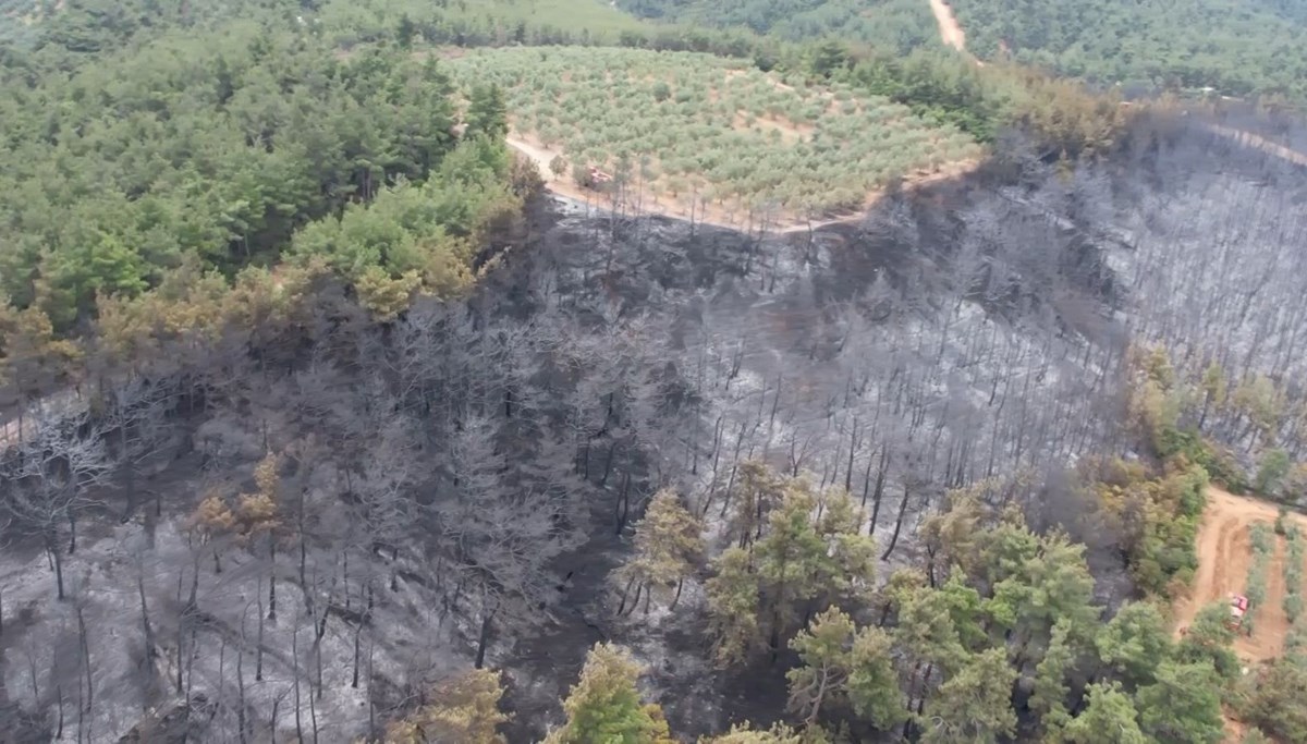 Bursa'daki yangında 25 hektarlık alan yandı