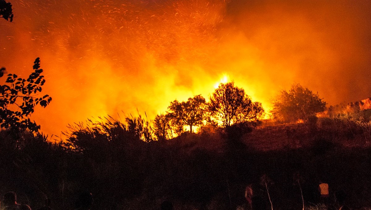 Meksika’nın 15 eyaletinde 58 orman yangını