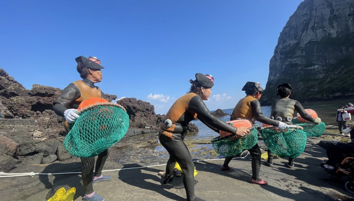 Güney Kore'nin deniz kadınları: Derin sularda yaşam mücadelesi