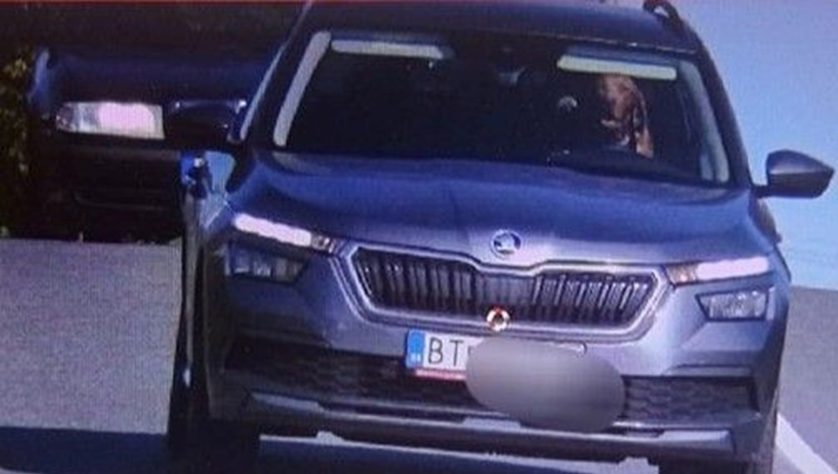 Slovakya’da ilginç görüntü: Seyir halindeki aracın direksiyonundaki köpek kameralara yakalandı