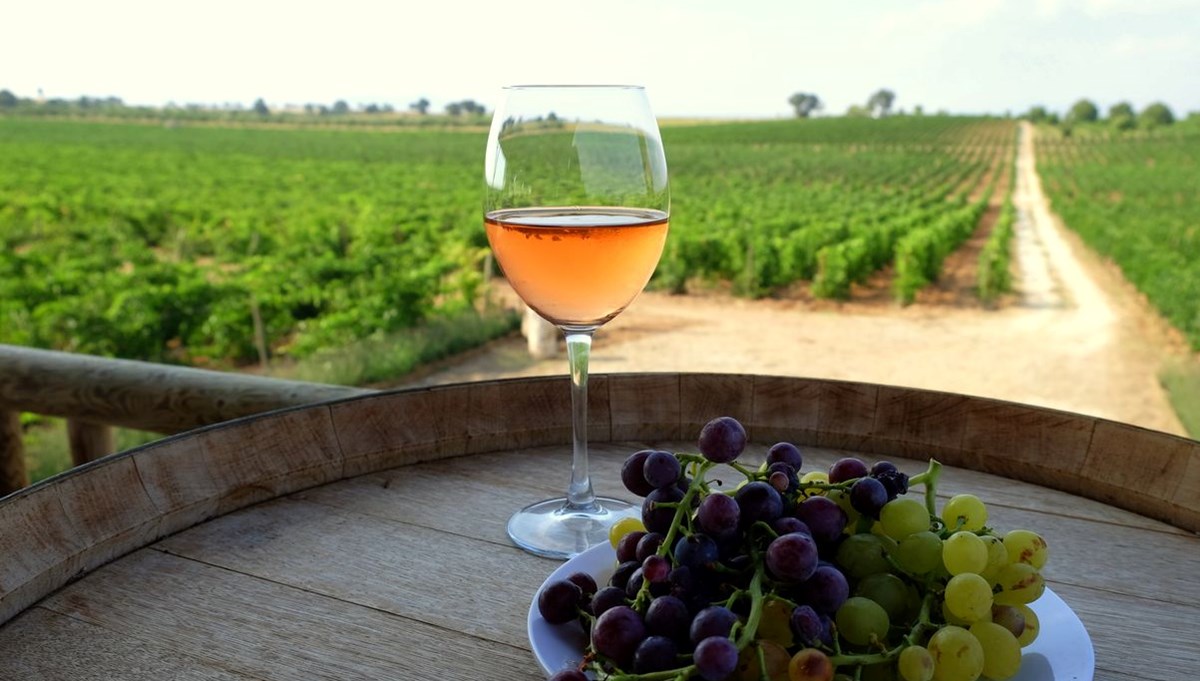 İtalya’da şarap tartışması: Avrupa'daki karar ülkeyi karıştırdı