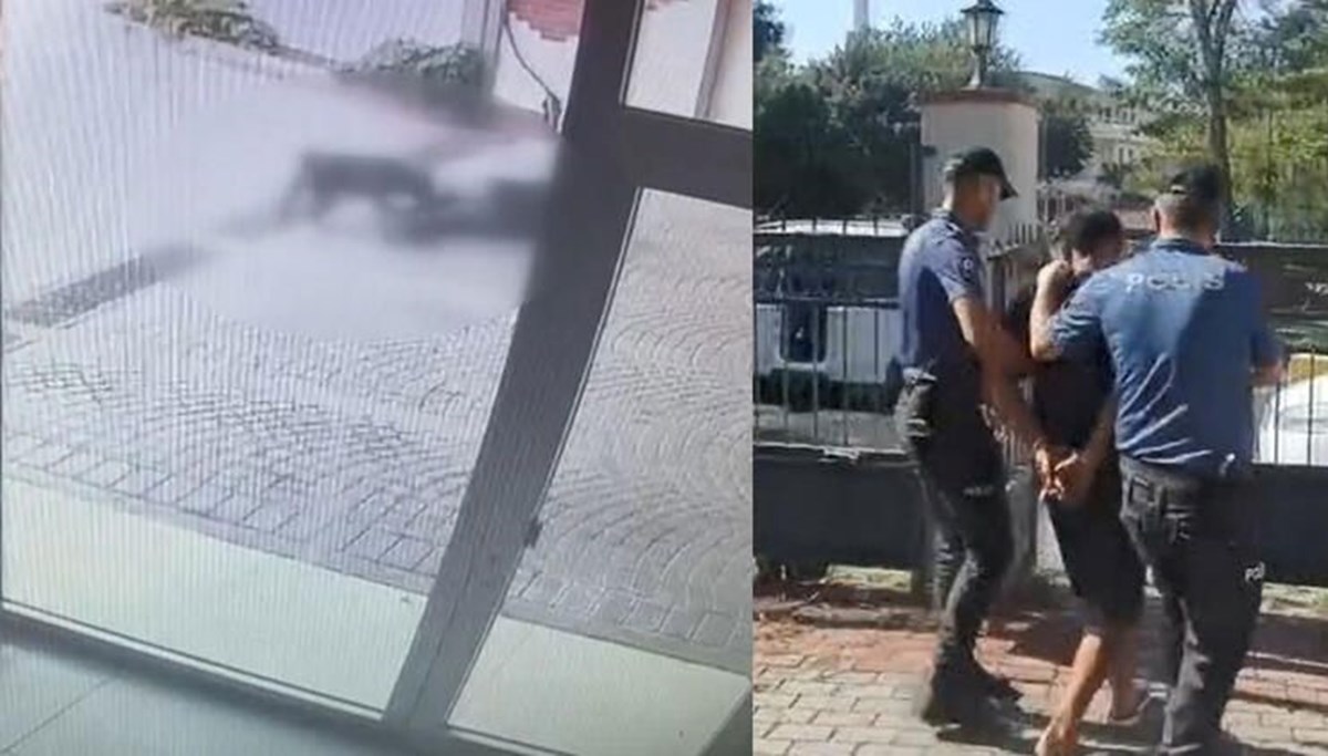 İstanbul'da pitbull saldırısı kamerada: Sahipleri yakalandı