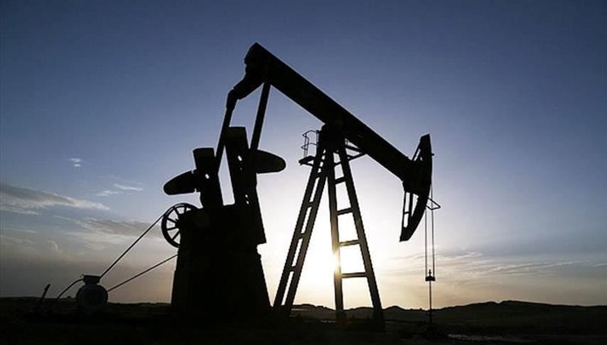 Rusya: Hindistan'a petrol sevkiyatı 22 kat arttı