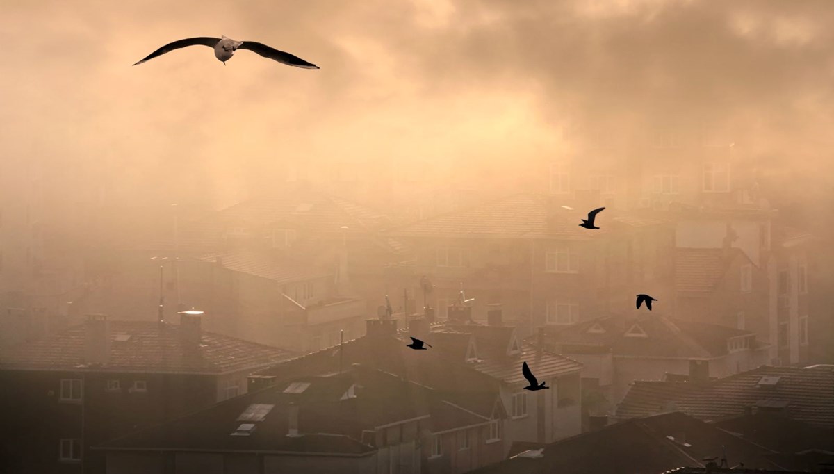 Türkiye'nin en kirli havaya sahip illeri belli oldu